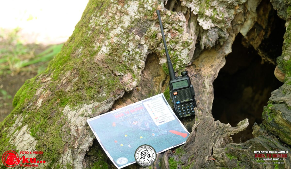 Codrii de arama - LOGO (116)